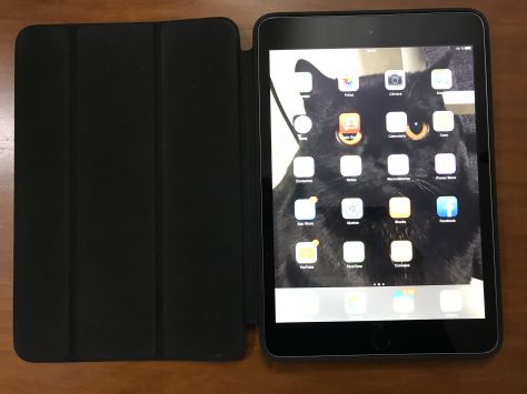 2018/vender-ipad-ipad-mini-3-apple-segunda-mano-864020180117191824-11