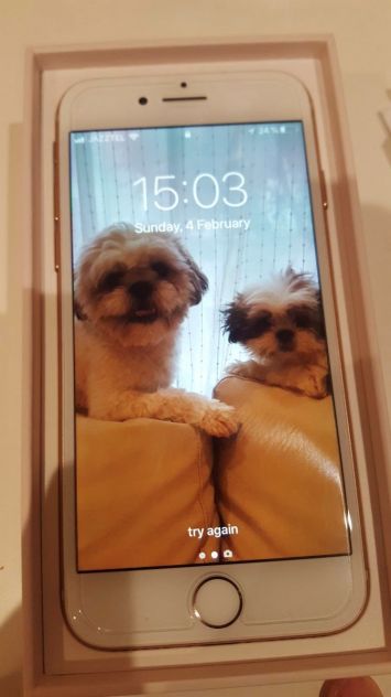 2018/vender-iphone-iphone-8-apple-segunda-mano-19382124820180204142539-1