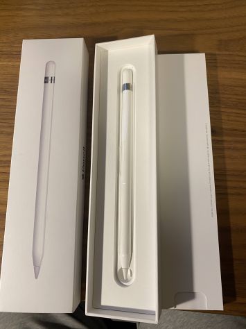 Apple Pencil 1ª Generación