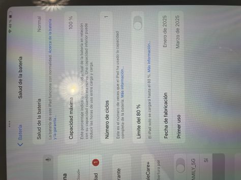 vender-ipad-ipad-air-apple-segunda-mano-1227620250509164416-12