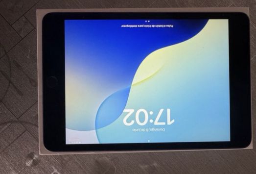 vender-ipad-ipad-mini-apple-segunda-mano-20260607112243-11