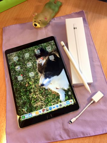 vender-ipad-ipad-pro-segunda-mano-ipad-apple-apple-segunda-mano-125320190408153753-1