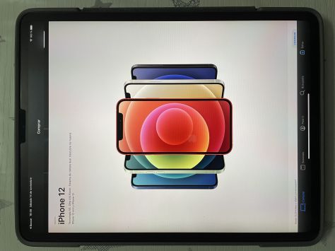 vender-ipad-ipad-pro-segunda-mano-ipad-apple-apple-segunda-mano-19382044420201114162117-1