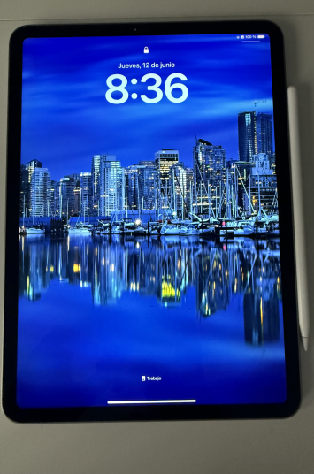 vender-ipad-ipad-pro-segunda-mano-ipad-apple-apple-segunda-mano-19383038620250613161417-11