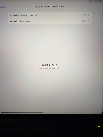 vender-ipad-ipad-pro-segunda-mano-ipad-apple-apple-segunda-mano-19383038620250613161417-15