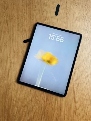 vender-ipad-ipad-pro-segunda-mano-ipad-apple-apple-segunda-mano-19383148520250320215443-1