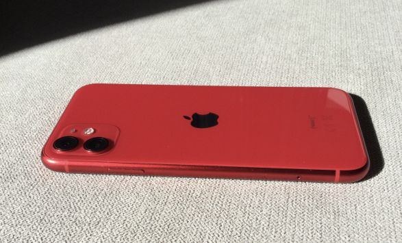vender-iphone-iphone-11-apple-segunda-mano-20230216113948-14