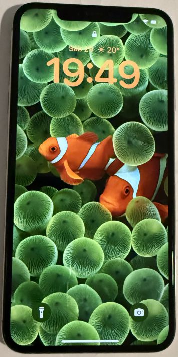vender-iphone-iphone-xs-max-apple-segunda-mano-1066020250330082041-1